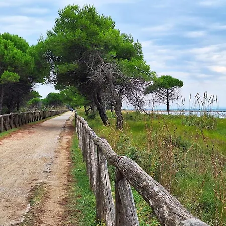 Refurbished One Bedroom Flat With Communal Garden * Bibione